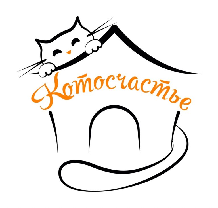 Котосчастье