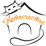 Котосчастье