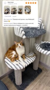 Фотоотзыв покупателя 6